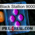 Black Stallion 9000 04